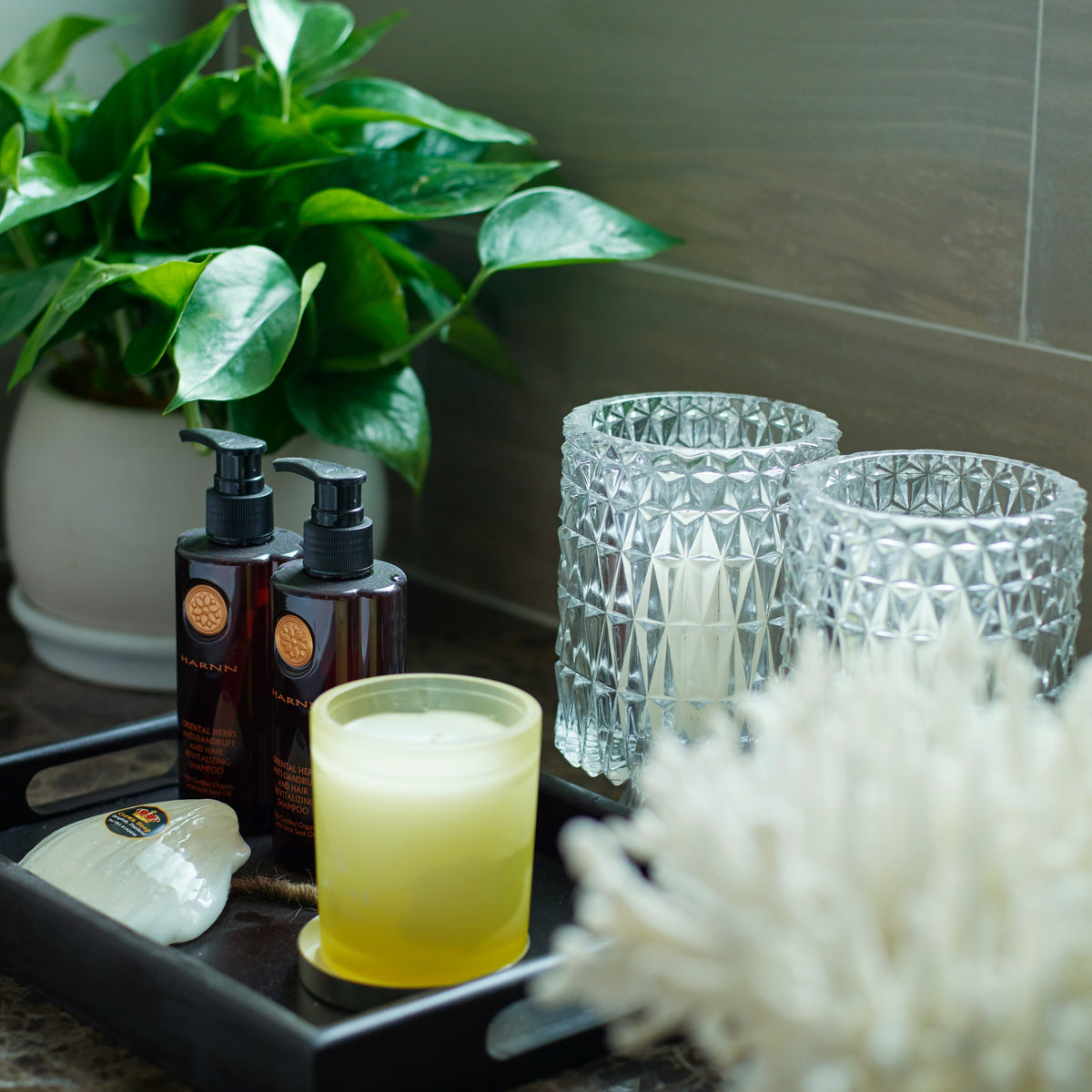 Organisers and dispensers